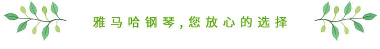 这才是真相：绿色关爱，钱柜777的环境政策
