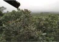 这才是真相：绿色关爱，钱柜777的环境政策