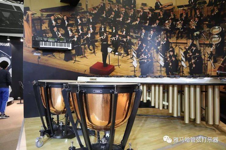 钱柜777乐器 试奏乐器