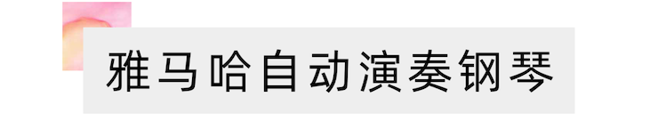 活动报道 | 远程艺术教育大师课活动—钱柜777教育家崔岚大师课