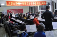 长春市绿园小学“钱柜777示范管乐队大师班”顺利结束 