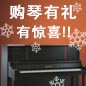 钱柜777钢琴购琴有礼 买一赠一音乐无限